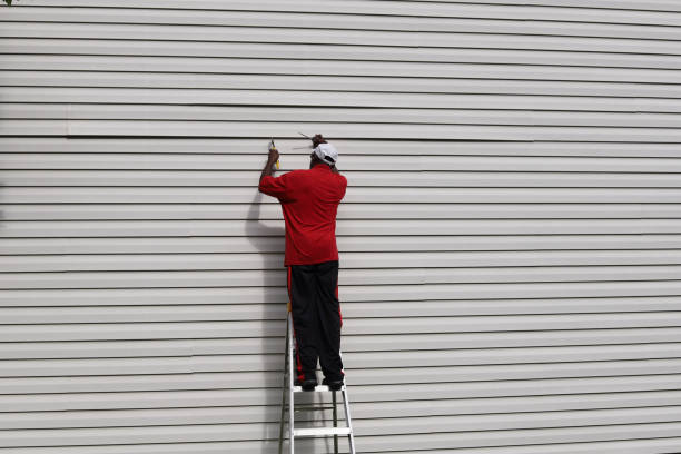 Best Siding Painting and Refinishing  in Hayden, CO